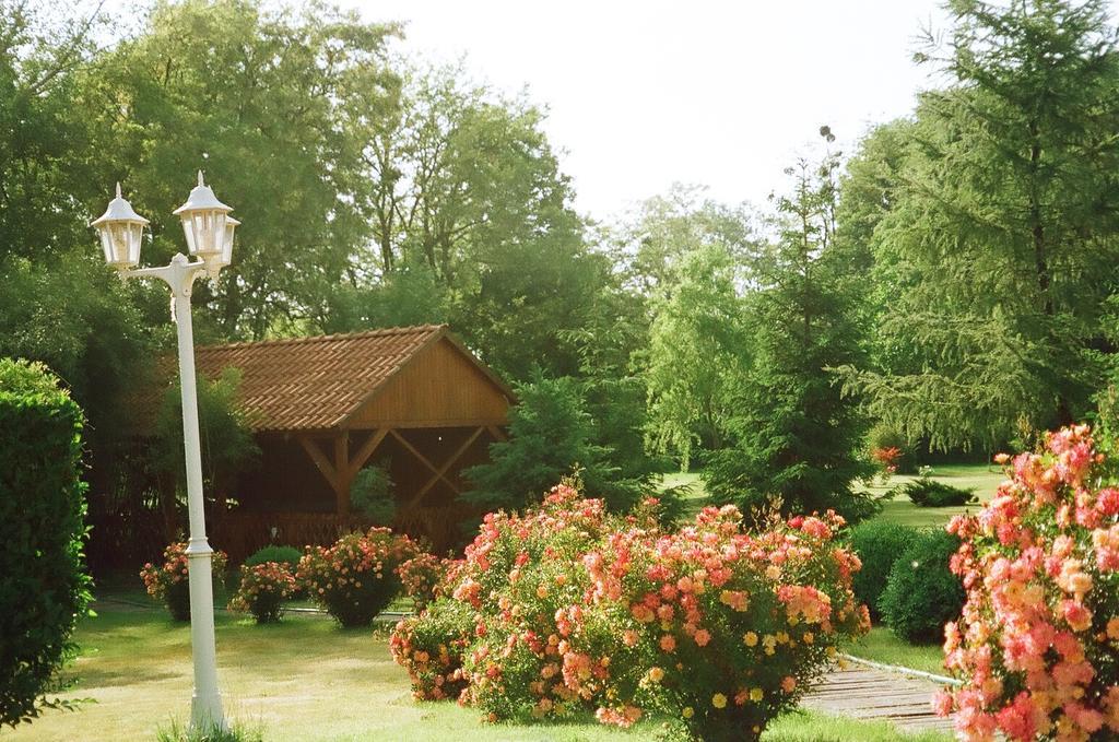 Villa Hedi Dunakiliti Bagian luar foto