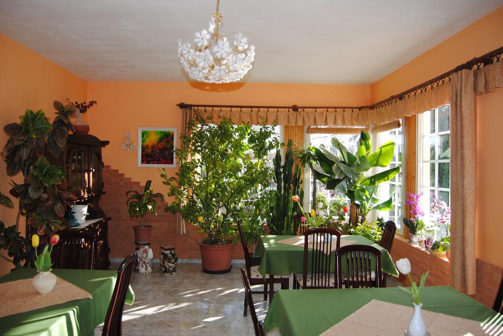 Villa Hedi Dunakiliti Bagian luar foto