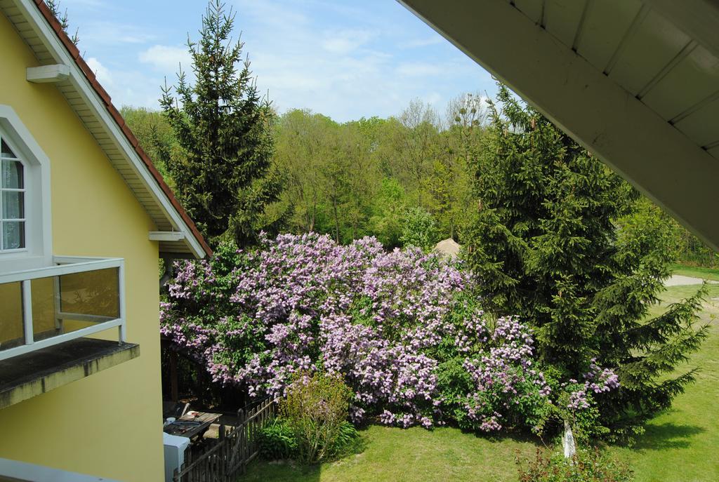 Villa Hedi Dunakiliti Bagian luar foto