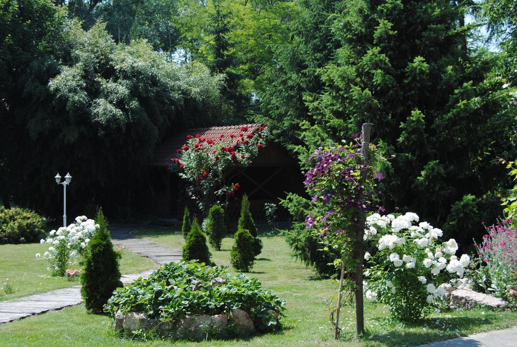 Villa Hedi Dunakiliti Bagian luar foto