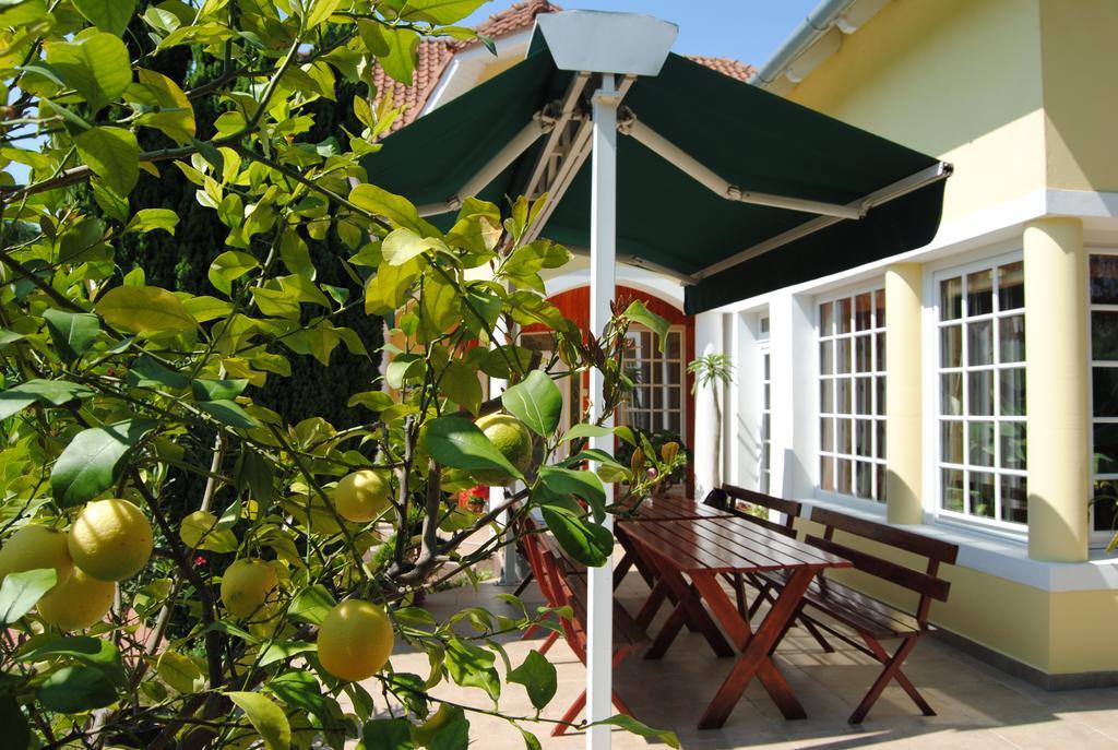 Villa Hedi Dunakiliti Bagian luar foto