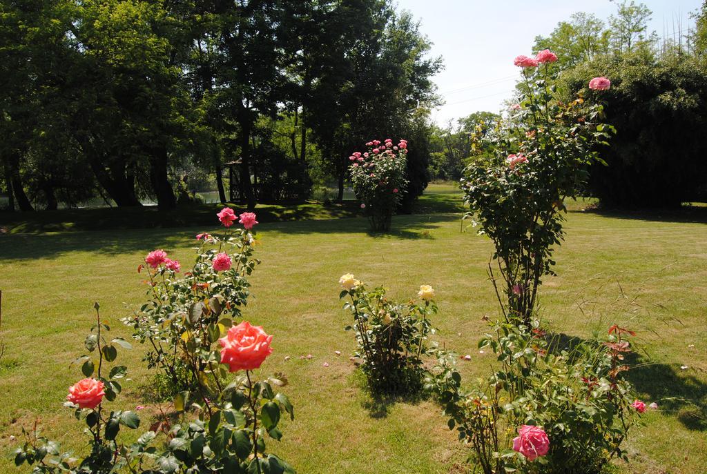Villa Hedi Dunakiliti Bagian luar foto