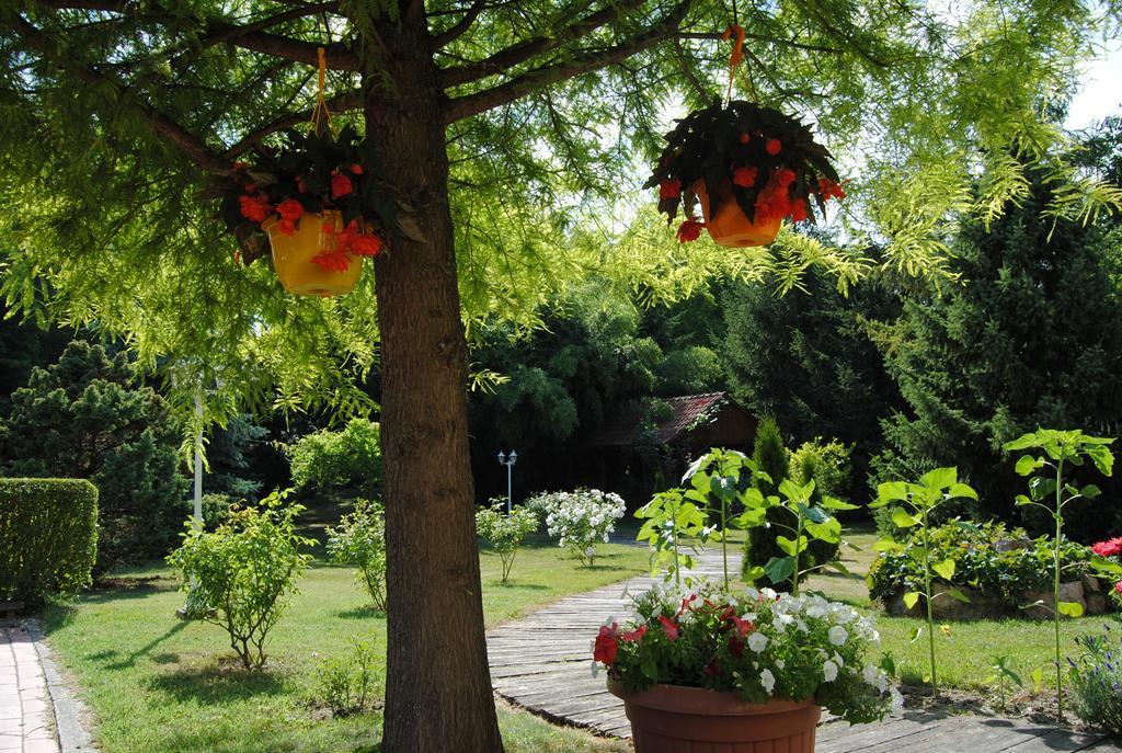 Villa Hedi Dunakiliti Bagian luar foto