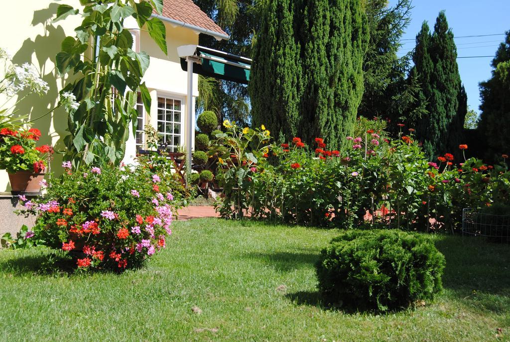 Villa Hedi Dunakiliti Bagian luar foto