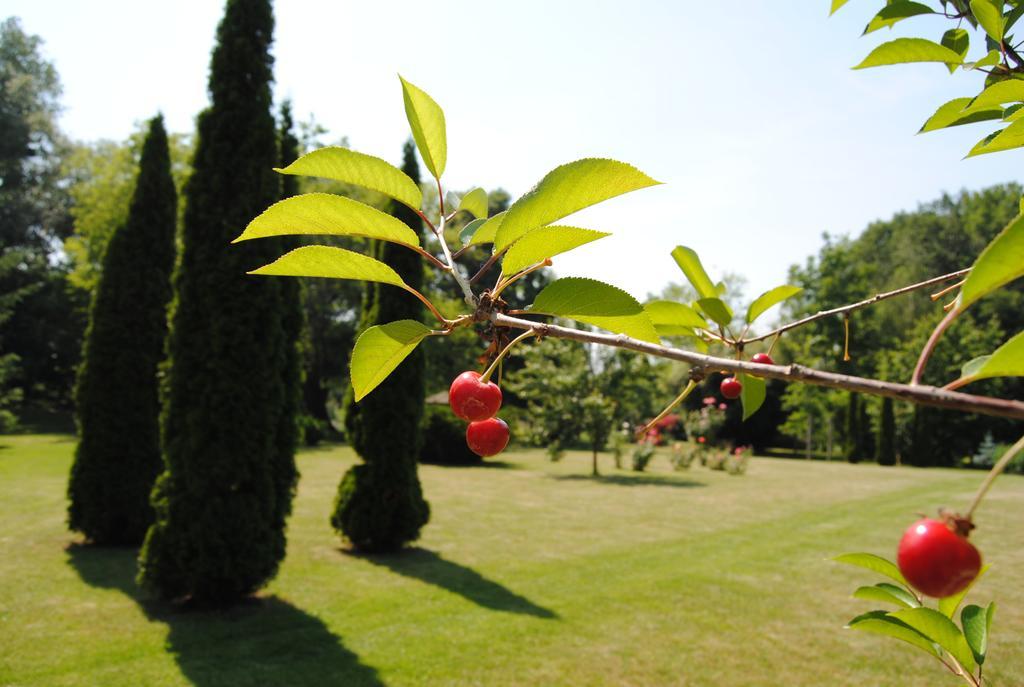 Villa Hedi Dunakiliti Bagian luar foto