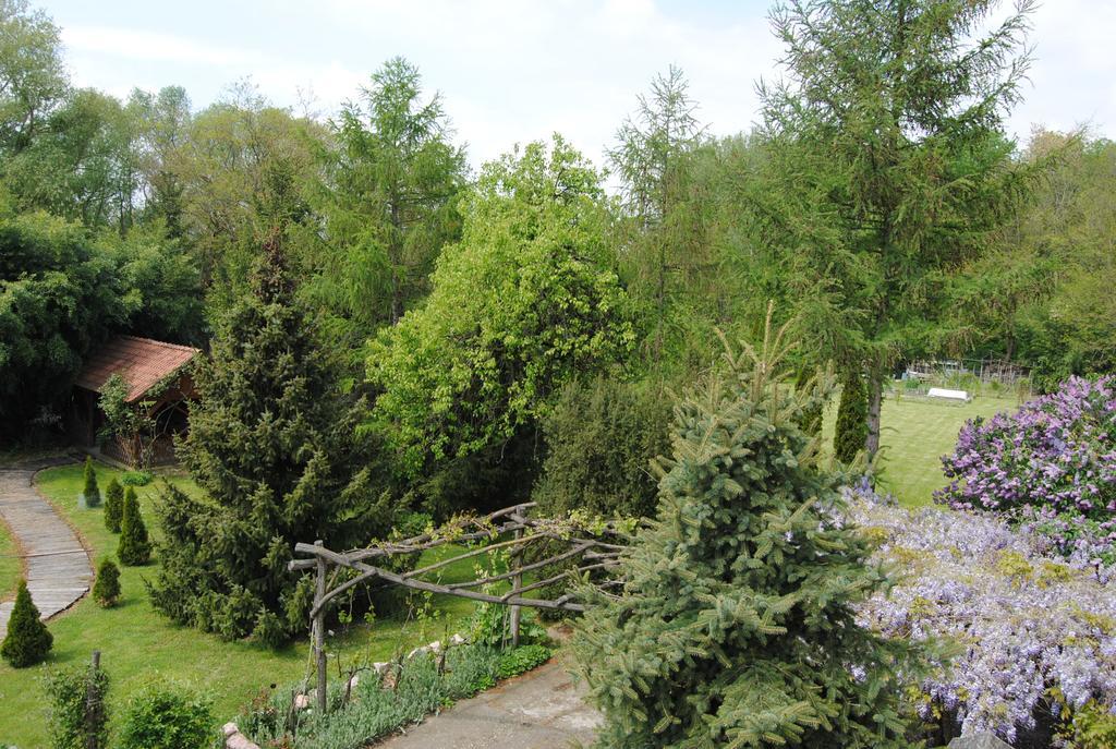 Villa Hedi Dunakiliti Bagian luar foto